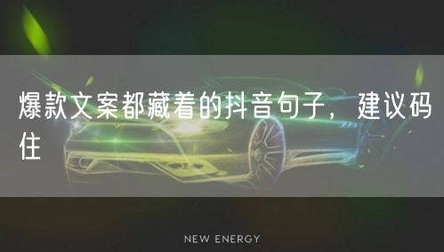 爆款文案都藏着的抖音句子，建议码住