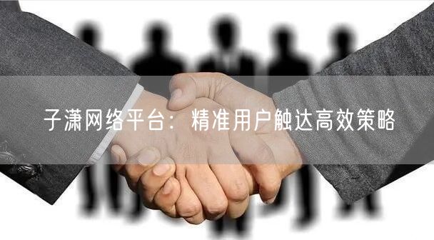 子潇网络平台：精准用户触达高效策略