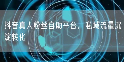 抖音真人粉丝自助平台，私域流量沉淀转化
