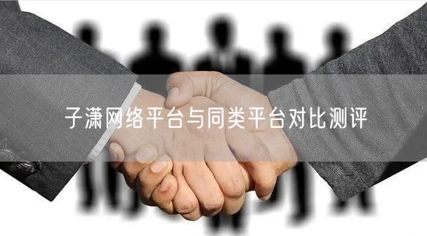 子潇网络平台与同类平台对比测评