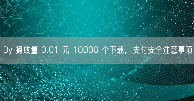 Dy 播放量 0.01 元 10000 个下载，支付安全注意事项