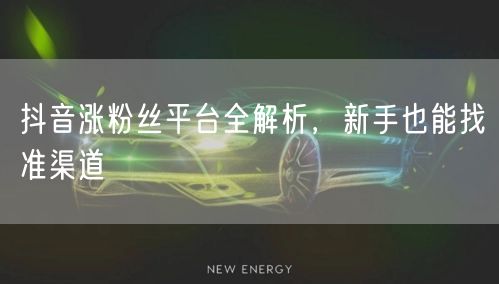 抖音涨粉丝平台全解析，新手也能找准渠道