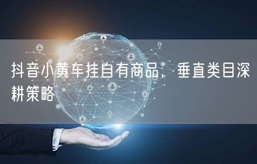 抖音小黄车挂自有商品，垂直类目深耕策略