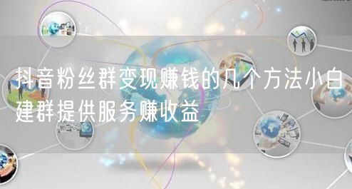抖音粉丝群变现赚钱的几个方法小白建群提供服务赚收益