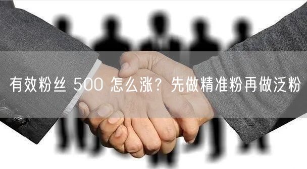 有效粉丝 500 怎么涨？先做精准粉再做泛粉