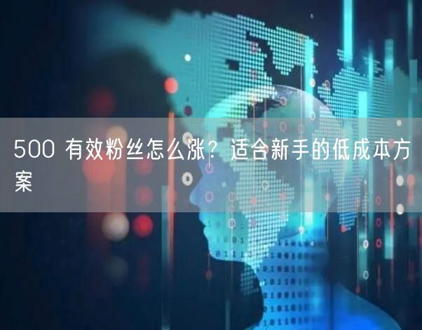 500 有效粉丝怎么涨？适合新手的低成本方案