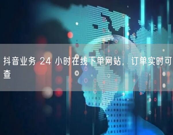 抖音业务 24 小时在线下单网站，订单实时可查