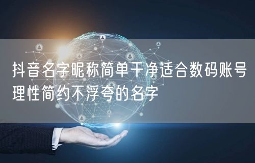 抖音名字昵称简单干净适合数码账号理性简约不浮夸的名字