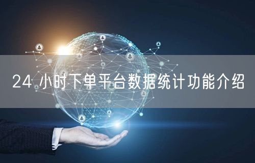 24 小时下单平台数据统计功能介绍