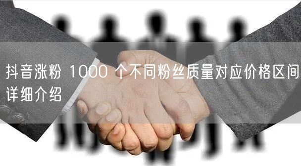 抖音涨粉 1000 个不同粉丝质量对应价格区间详细介绍