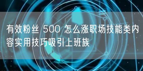 有效粉丝 500 怎么涨职场技能类内容实用技巧吸引上班族