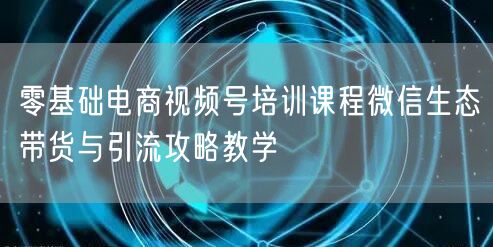 零基础电商视频号培训课程微信生态带货与引流攻略教学