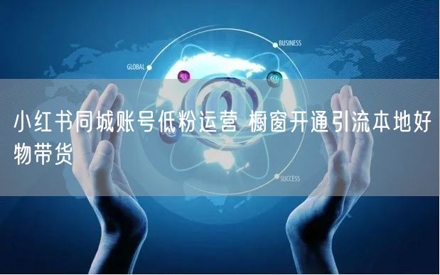 小红书同城账号低粉运营 橱窗开通引流本地好物带货