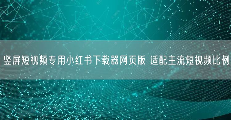 竖屏短视频专用小红书下载器网页版 适配主流短视频比例