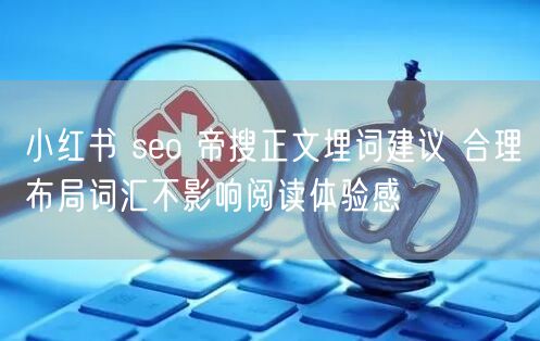 小红书 seo 帝搜正文埋词建议 合理布局词汇不影响阅读体验感