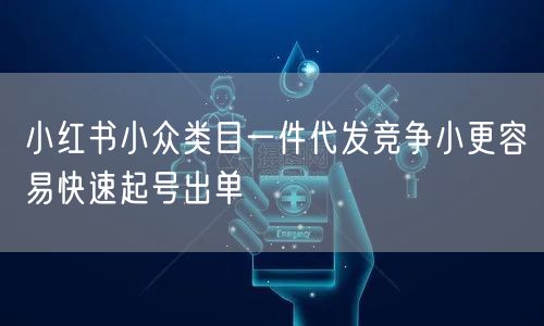 小红书小众类目一件代发竞争小更容易快速起号出单