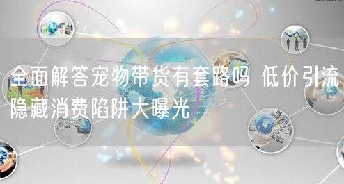 全面解答宠物带货有套路吗 低价引流隐藏消费陷阱大曝光