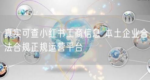 真实可查小红书工商信息 本土企业合法合规正规运营平台