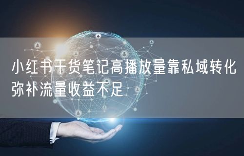 小红书干货笔记高播放量靠私域转化弥补流量收益不足