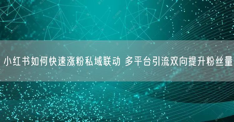 小红书如何快速涨粉私域联动 多平台引流双向提升粉丝量