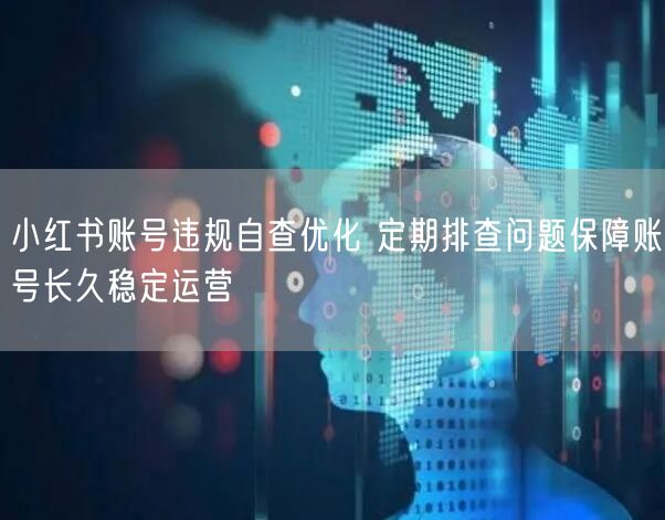 小红书账号违规自查优化 定期排查问题保障账号长久稳定运营