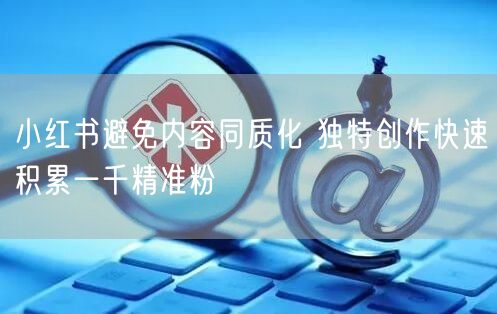 小红书避免内容同质化 独特创作快速积累一千精准粉