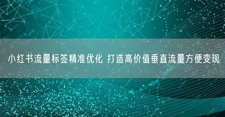 小红书流量标签精准优化 打造高价值垂直流量方便变现