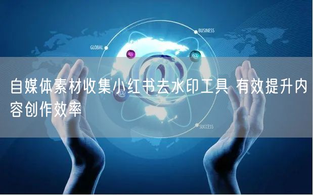 自媒体素材收集小红书去水印工具 有效提升内容创作效率