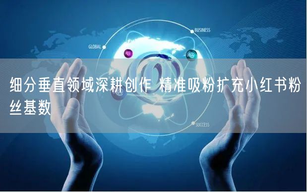 细分垂直领域深耕创作 精准吸粉扩充小红书粉丝基数