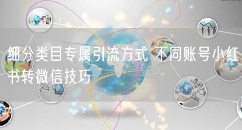 细分类目专属引流方式 不同账号小红书转微信技巧