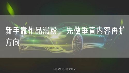 新手靠作品涨粉，先做垂直内容再扩方向