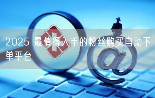 2025 最值得入手的粉丝购买自助下单平台