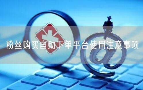 粉丝购买自助下单平台使用注意事项