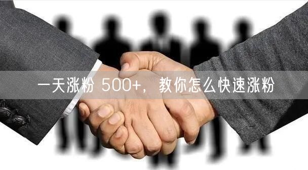 一天涨粉 500+，教你怎么快速涨粉