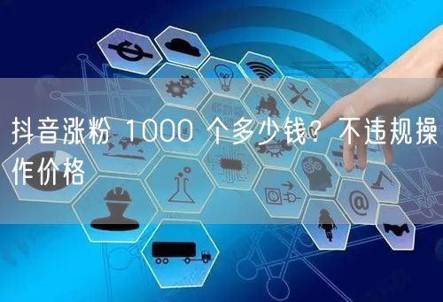 抖音涨粉 1000 个多少钱？不违规操作价格