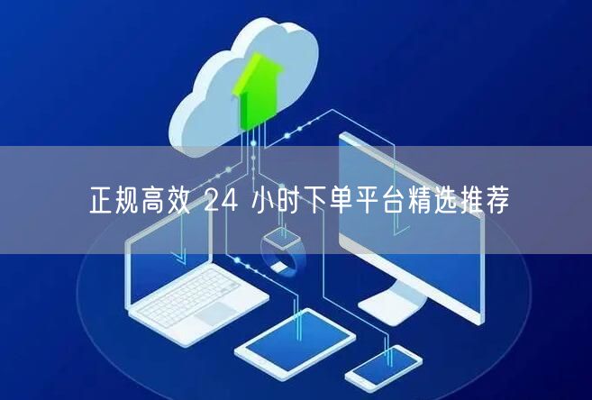 正规高效 24 小时下单平台精选推荐