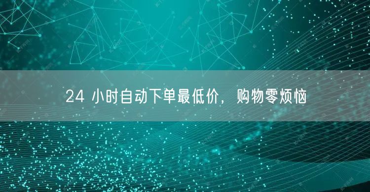24 小时自动下单最低价，购物零烦恼