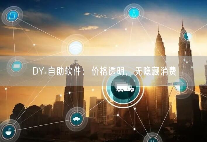 DY 自助软件：价格透明，无隐藏消费