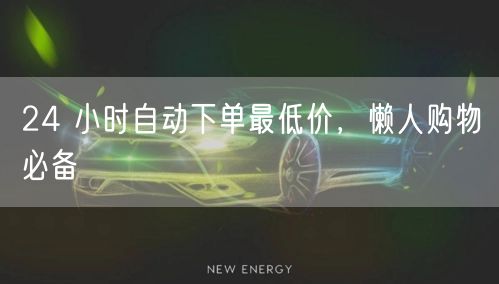 24 小时自动下单最低价，懒人购物必备