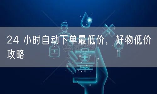 24 小时自动下单最低价，好物低价攻略
