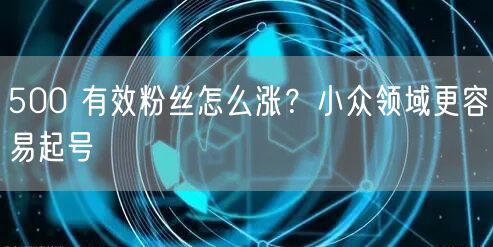 500 有效粉丝怎么涨？小众领域更容易起号