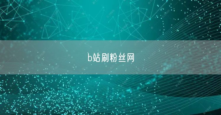 b站刷粉丝网