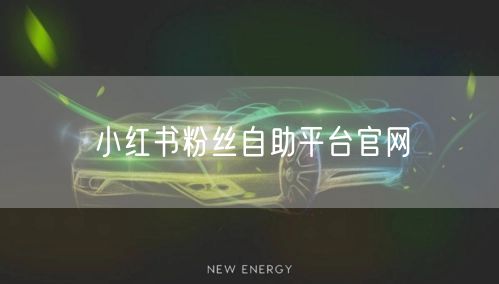 小红书粉丝自助平台官网