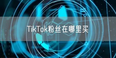TikTok粉丝在哪里买