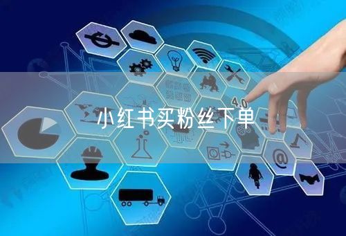 小红书买粉丝下单