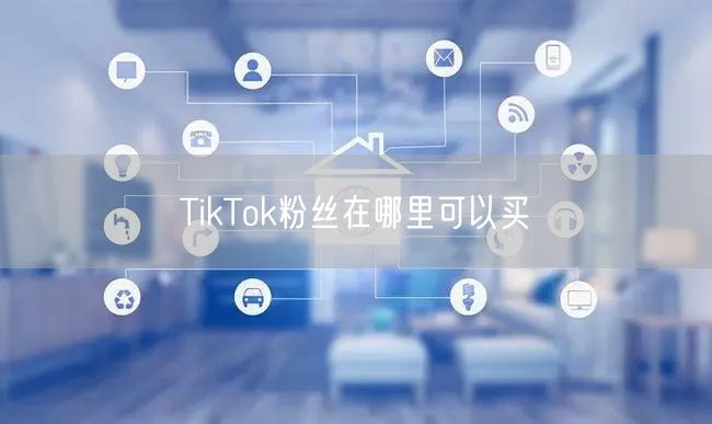 TikTok粉丝在哪里可以买