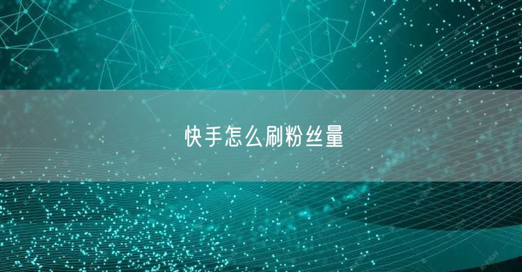 快手怎么刷粉丝量