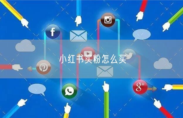 小红书买粉怎么买