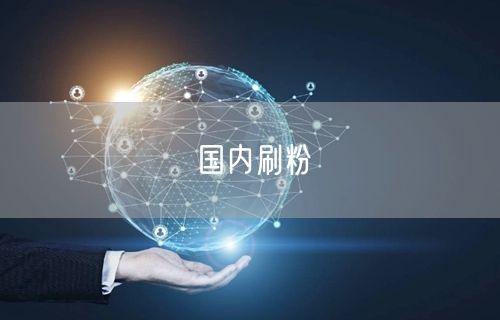 国内刷粉