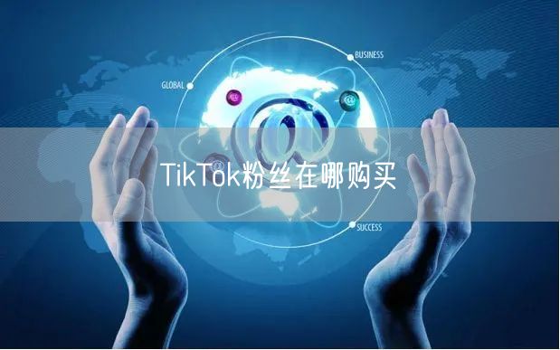 TikTok粉丝在哪购买